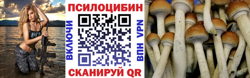 Псилоцибиновые грибы GOLDEN TEACHER  наркотики  Тихорецк 